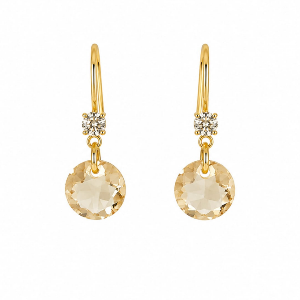 Aros Flavia
