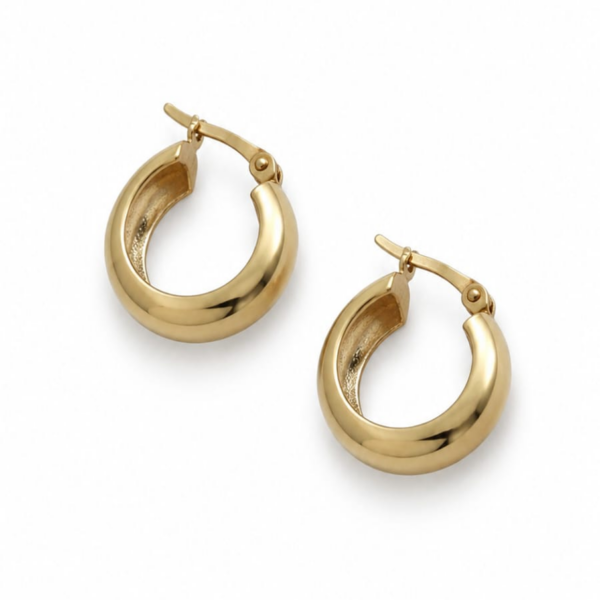 Aros Plata 925 - Avant Gold Collection 1ITD12